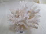 PIECE OF CORAL (VERY FRAGILE)