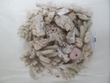 LOT OF ASSORTED CORAL PIECES