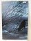 wrapped canvas with blackbird  16