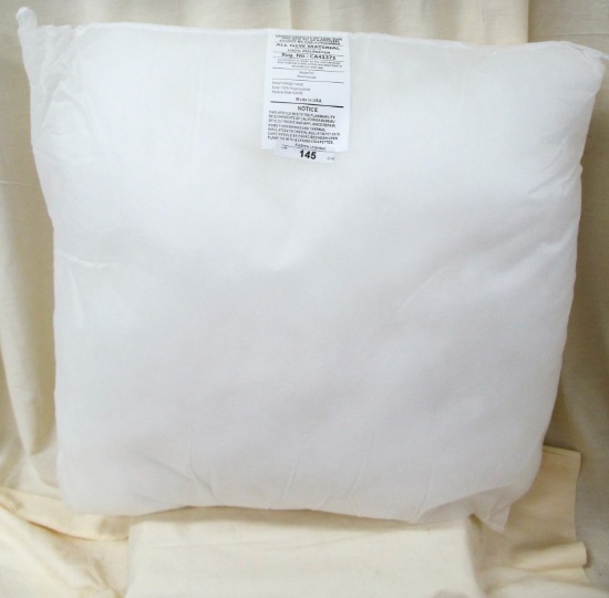 20" X 20" PILLOW INSERTS