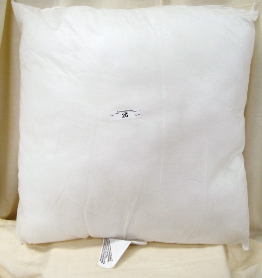 16" SQUARE PILLOW FORM