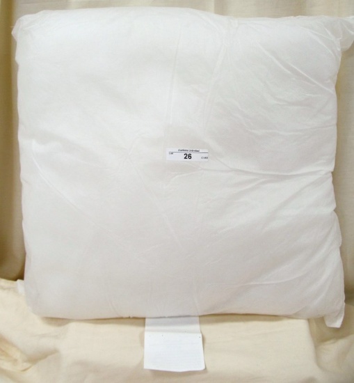 16" SQUARE PILLOW FORM