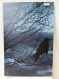 wrapped canvas with blackbird  16