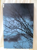 WRAPPED CANVAS BLACK AND NAVY TREE 16