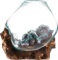 Glass Molten Glass & Wood Sculpture, Approximately 10