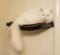 Cat Perch Cat Bed with Curved Cat Hammock Design | Elegant Wood Wall-Mounted Cat Furniture