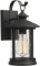Zeyu 1-Light Exterior Wall Lantern Sconce, Outdoor Wall Mount Light Fixture in Black Finish with See