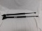 PAIR OF HYDROLIC SHOCKS ~ NOT SURE OF INTENDED PURPOSE BUT ATRE 22