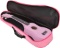 Soprano Ukulele Beginner Pack, 21 Inch Basswood kids Ukuleles with bag