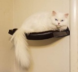 Cat Perch Cat Bed with Curved Cat Hammock Design | Elegant Wood Wall-Mounted Cat Furniture
