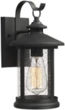 Zeyu 1-Light Exterior Wall Lantern Sconce, Outdoor Wall Mount Light Fixture in Black Finish with See