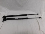 PAIR OF HYDROLIC SHOCKS ~ NOT SURE OF INTENDED PURPOSE BUT ATRE 22