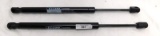 ECCPP LIFT SUPPORT STRUTS 052624 14 INCH