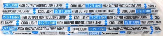 COOL LIGHT T5 2 FOOT LAMP 6500K HORTICULTURE