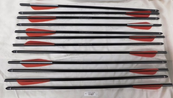 PACK OF 12 HEYPSHINE ARCHERY 20 INCH ALUMINUM ARROWS PRACTICE HUNTING ARROWS WITH REMOVABLE TIPS