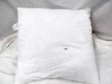 PILLOW INSERT 20