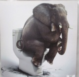 ELEPHANT ON TOILET 16