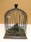 METAL BIRDCAGE