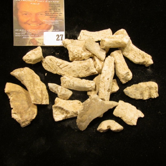 Group of Chalk White Crushed Shell pottery fragments, Pre-Columbian era.