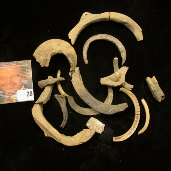 Group of Pre-Columbian Tusks, carved Shell, and possibly Bone Fragments.
