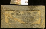 Rectangular Slate object with zig-zag border and interior frame which may have had an inset at one t