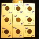 Indian Head Penny Lot Includes 1903, 1894, 1889, 1904, 1906, 1907, 1886, 1903, 1888, And 1988