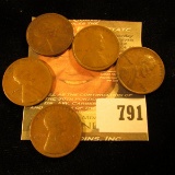5 1909 VDB Wheat Pennies
