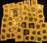 (53) 1936 P Buffalo Nickels all carded in 1 1/2