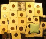 (4) 1891, (13) 1900, & (18) 1901 Indian Head Cents. Most carded and ready for sale.