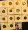 1644 . 1937P, S, 39P, D,.40P, D, 43P, 54P, D, S, 64P, D, 65P, & 66P  Lincoln Cents all grading from