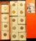 1721 . 9” Stock box with 2 x 2 carded Lincoln Cents dating from 1943-1986, lots of BU coins, 1954 S
