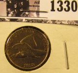 1330 . 1858 Large Letters Flying Eagle Penny.  There are lots of details visible in this coin