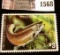 1568 . 1983 Minnesota Trout Stream $3 Stamp. Mint, NH, Artist signe