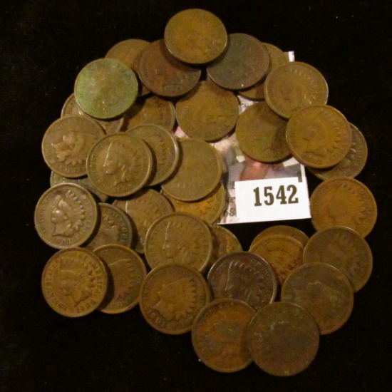 1542 . (35) Circulated Indian Head Cents.