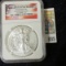 2013 BRILLIANT UNCIRCULATED AMERICAN SILVER EAGLE SLABBED BY NGC