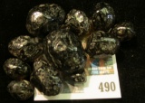 (11) Apache Tear Nodules. Ready to be used for jewelry or just displaying.