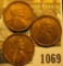 1069 _ (3) 1909 P VDB Lincoln Cents. All Almost Uncirculated.