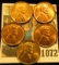 1072 _ 1935P, 37P, 40P, 46D, & 50P Lincoln Cents. All Red Gem BU.
