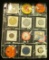 1456 _ 9-Pocket plastic page containing 10 various Sports related Pin-backs, gambling chips, medals,