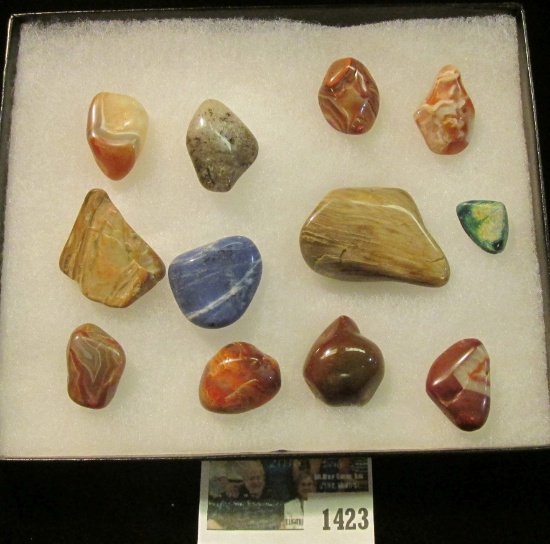 1423 _ (12) Colorful Agates in a 5" x 6" glass-fronted case. (7 pcs. total).