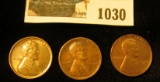 1030 _ 1925 P Brown Unc, 25 S EF, & 27 S AU-Unc Lincoln Cents.