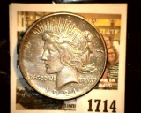 1714 _ 1921 P U.S. Silver Peace Dollar, Choice AU. Gold toning.