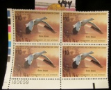 1988 Plateblock of RW55 $10.00 Federal Migratory Waterfowl Stamps, all mint, unsigned. #180059 $40 f