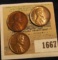 1667 _ 1927 D Cent, VF; & a pair of 1929 P Cents, mostly Red Almost Uncirculated.