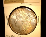 1105 _ 1896 P Morgan Silver Dollar, Choice BU 63