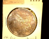 1115 _ 1921 S Morgan Silver Dollar, CH AU, toned.