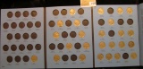 1424 _ 1913-1938 Partial Buffalo Nickel Set. (25) Coins some Grade to VF. In Whitman Coin folder.