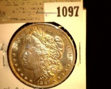 1097 _ 1887 P Morgan Silver Dollar, Choice BU 64.
