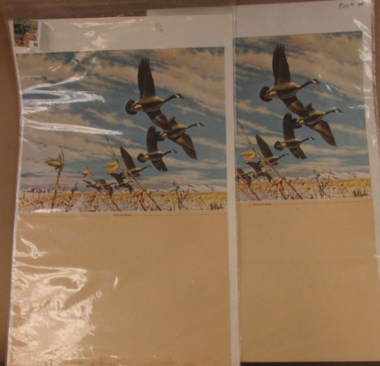 (2) 13 1/2" x 10" Calendar Print by Les Kouba, "Southward Bound", not framed.