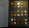 1909 P VDB to 40S Partial Set of Lincoln Cents in a blue Whitman album, the 1909 P VDB is a Red BU,